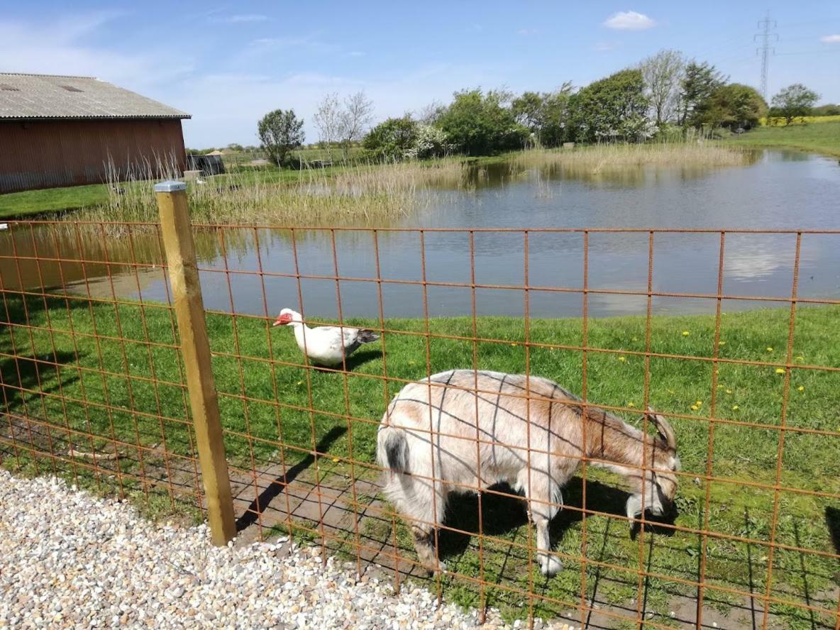 Rosengård Friland Ferielejlighed Og B&B Bramming Exteriör bild